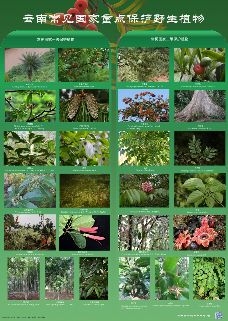 以案普法：危害国家重点保；；；；ぶ参镒